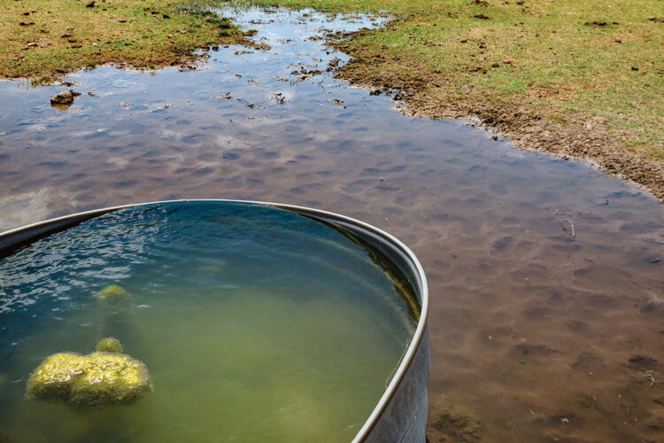 SolarPowered Water Pumps for Livestock Mother Earth News